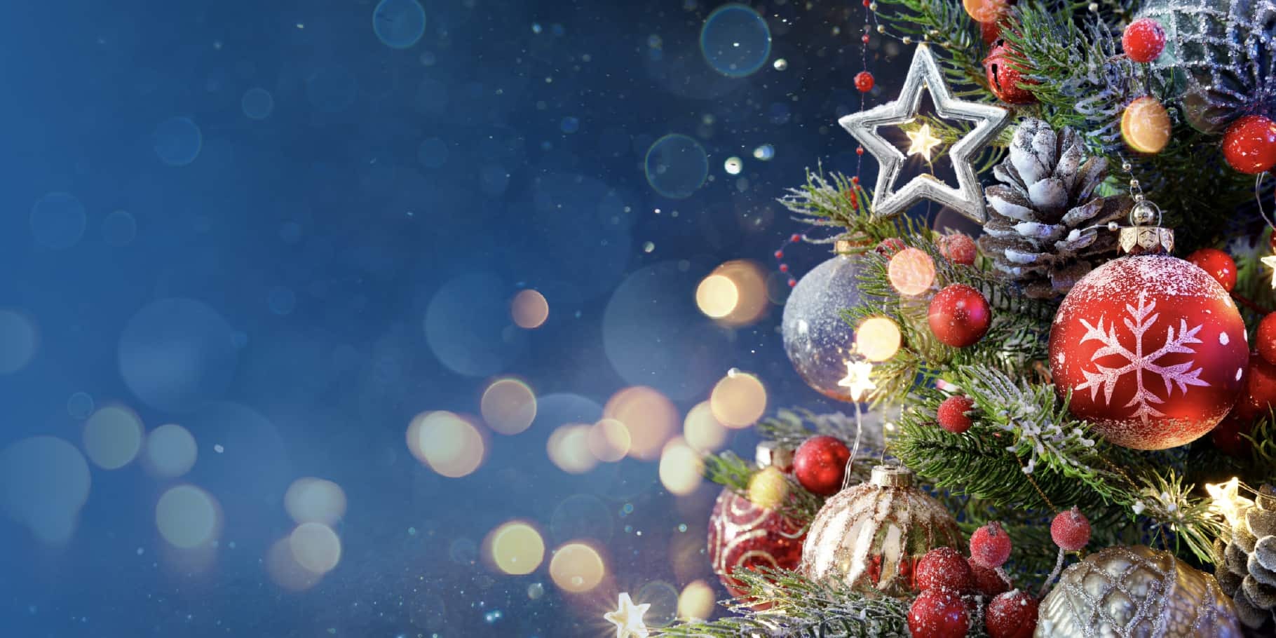 Xmas Decor Shop -Xmas Decor Shop xmas christmas multi color ornaments decorations pine needles 30 10 2024 1730273785 hd wallpaper